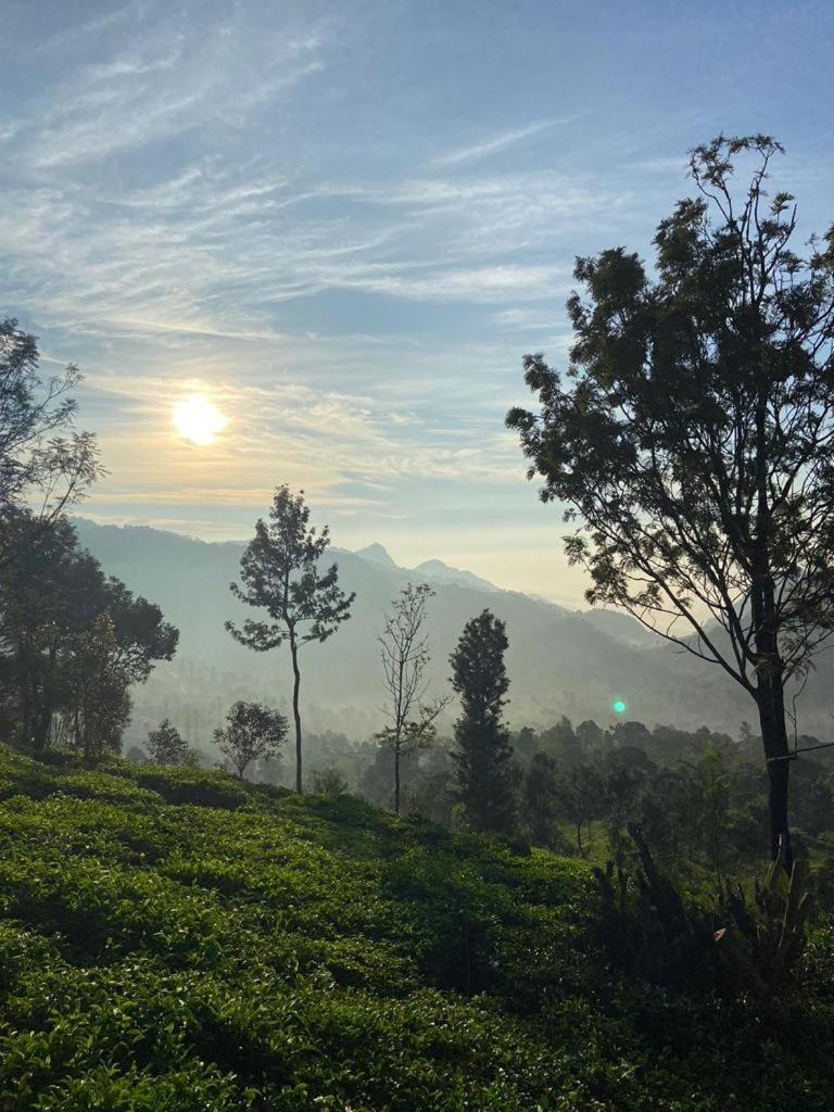Moksha Infinity Valley Kotagiri Eksteriør bilde