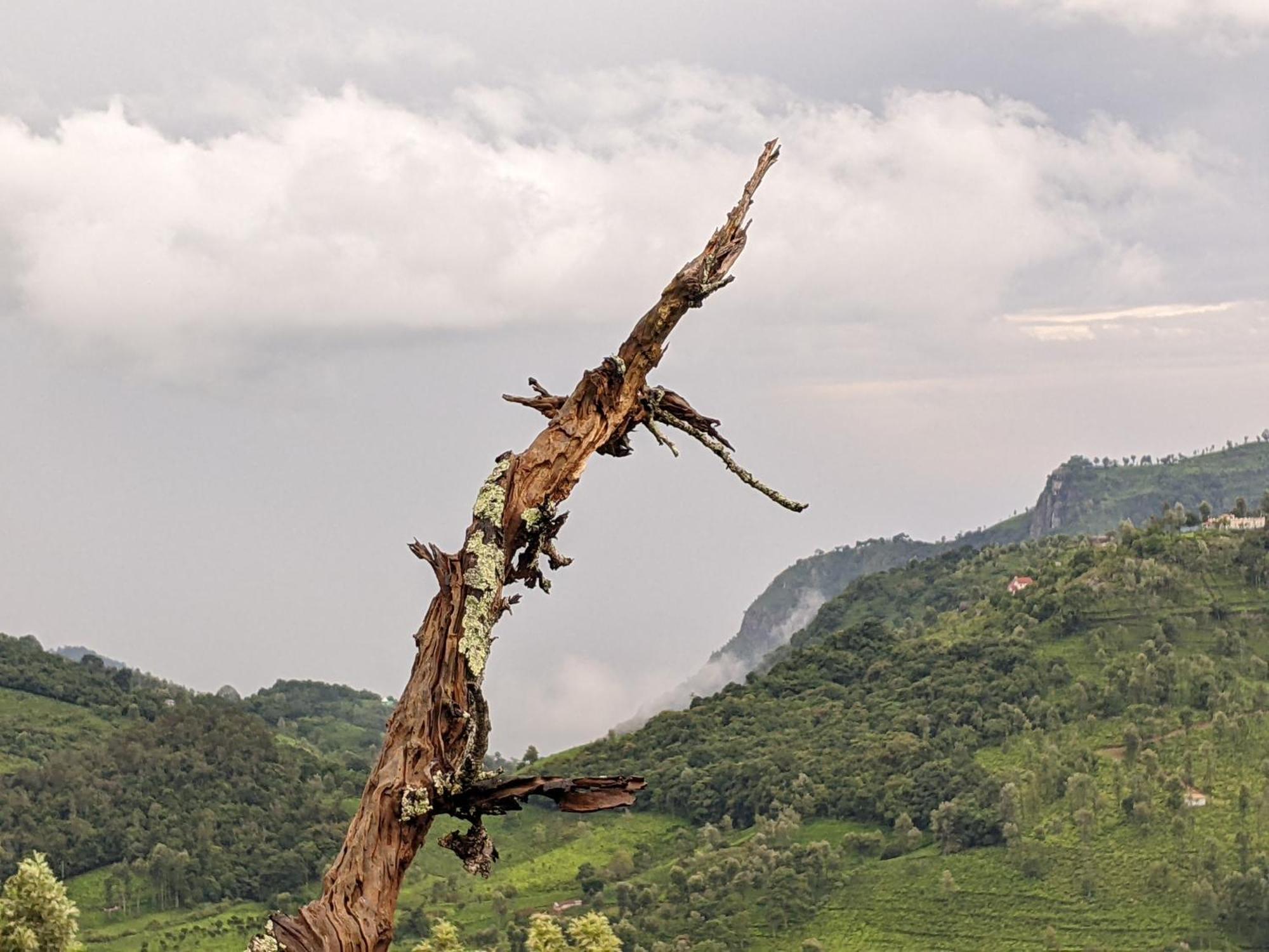 Moksha Infinity Valley Kotagiri Eksteriør bilde