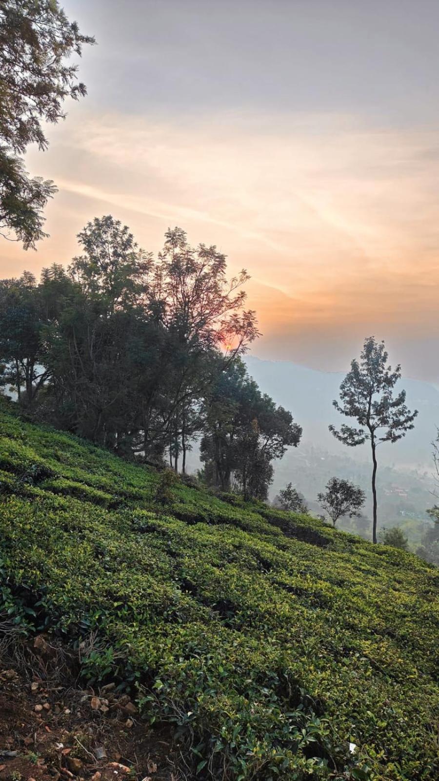 Moksha Infinity Valley Kotagiri Eksteriør bilde